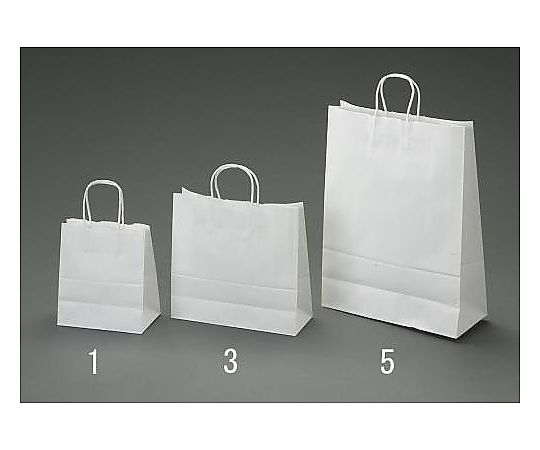 エスコ 450x220x455mm 紙袋(白無地/50枚) EA927SA-6 1セット(ご注文単位1セット)【直送品】