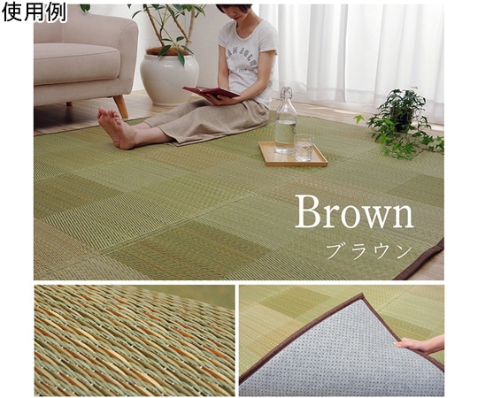 アズワン ラグ い草 モダン 撥水 自然素材 滑り止め 不織布 防ダニ ブラウン 約190×250cm 1070520064217 1個(ご注文単位1個)【直送品】