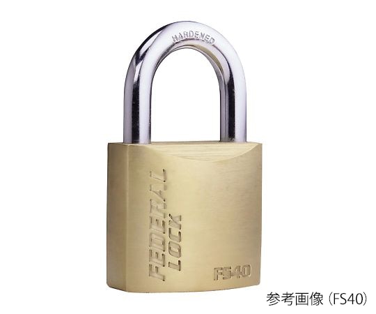 FEDERAL(フェデラル) テンプルキーシリンダー南京錠 FS50-P 1個(ご注文単位1個)【直送品】