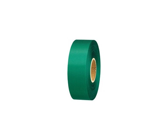 スマートバリュー カラーリボン 緑 24mm×25m 10個 B824J-GR10 1パック(ご注文単位1パック)【直送品】