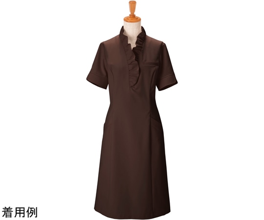 ボストン商会 ワンピース チャ 09 00110-79 1枚(ご注文単位1枚)【直送品】