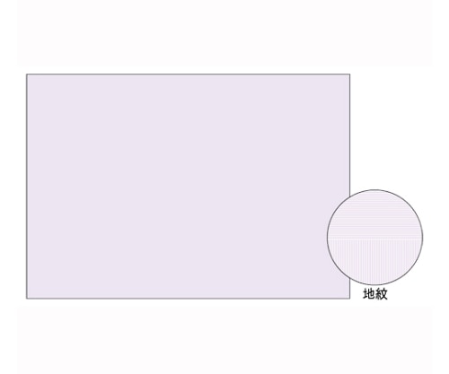 ヒサゴ コピー偽造予防用紙 1パック(600枚入) BP2111Z 1パック(ご注文単位1パック)【直送品】