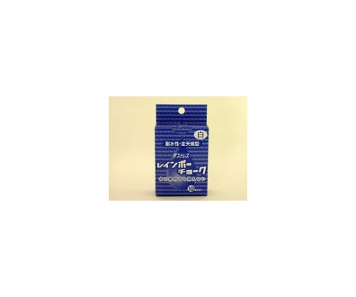 日本理化学工業 レインボーチョーク 白 RAC-10-W 1箱(ご注文単位1箱)【直送品】