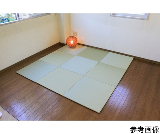 KLASS 洗えるへりなし置き畳 60×60cm ブラウン TC19116 1枚(ご注文単位1枚)【直送品】