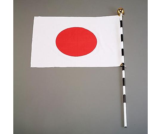 アズワン 700x 900mm 国旗セット(組立式) EA983JP-60 1箱(ご注文単位1箱)【直送品】