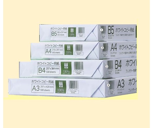ストア・エキスプレス 高白色コピー用紙 B4 2500枚 61-755-38-7 1セット(ご注文単位1セット)【直送品】