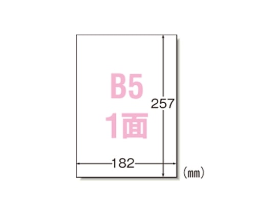 エーワン(A-ONE) ラベルシール[プリンタ兼用]マット紙 28421 1箱(ご注文単位1箱)【直送品】