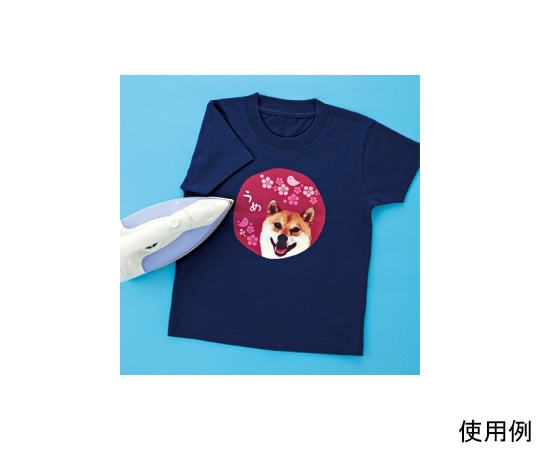 サンワサプライ インクジェットカラー布用アイロンプリント紙 JP-TPRCLNA6 1セット(ご注文単位1セット)【直送品】