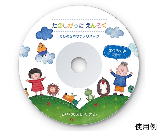 サンワサプライ インクジェットDVD/CDラベル つやなしマット LB-CDR001N-100 1セット(ご注文単位1セット)【直送品】