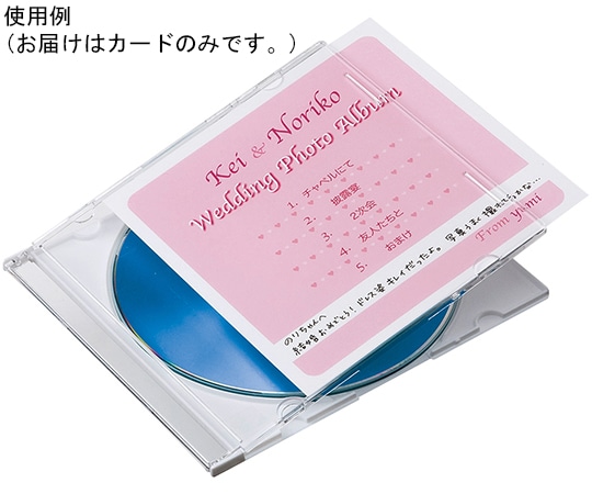 サンワサプライ プラケース用インデックスカード 薄手 JP-IND12 1セット(ご注文単位1セット)【直送品】