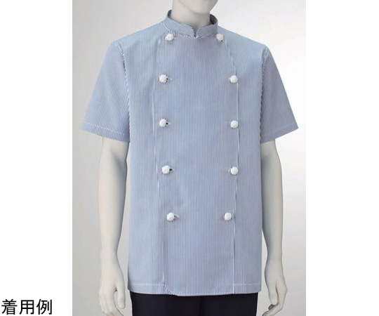 KAZEN 男子コックコート半袖 ストライプ LL 412-99 LL 1枚(ご注文単位1枚)【直送品】