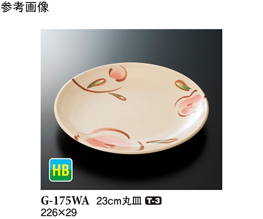 スリーライン 23cm 丸皿 WABI 10個入 G-175WA 1袋(ご注文単位1袋)【直送品】