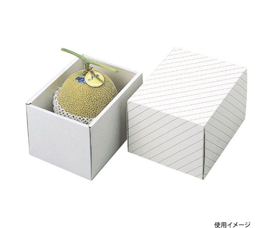 ヤマニパッケージ 青果用贈答箱 メロン深口 50枚 L-158 1ケース（ご注文単位1ケース）【直送品】