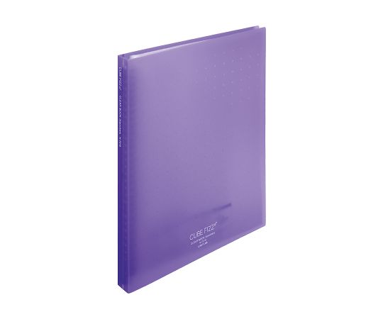 LIHITLAB CUBE FIZZクリヤーブック(ポケット交換タイプ) ポケット30枚 パープル N7016-10 1冊(ご注文単位1冊)【直送品】