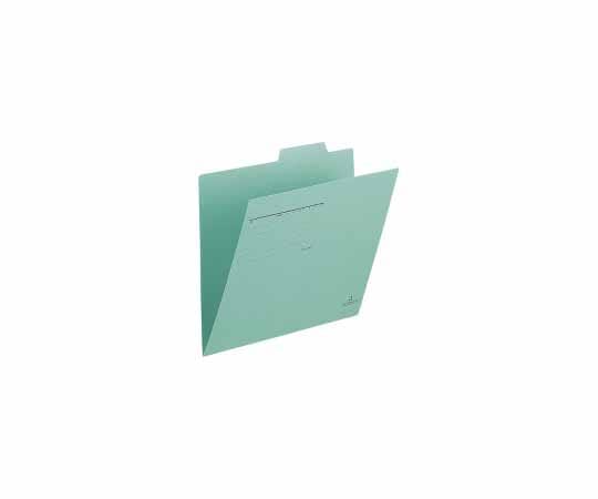 プラス 個別フォルダー A4E グリーン 10枚 FL-001IF(10) 1パック(ご注文単位1パック)【直送品】