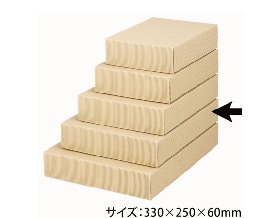 ヤマニパッケージ 贈答箱 ナチュラル60 大 50枚 16-63 1ケース(ご注文単位1ケース)【直送品】