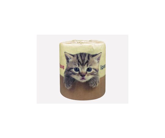 林製紙 やっぱり猫が好き! 1RW 30m 114mm 1箱(100本入) 2962 1箱(ご注文単位1箱)【直送品】