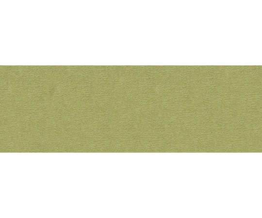 サンコー(生活用品) ペット用床保護マット 60×180cm グリーン KM-55 1枚(ご注文単位1枚)【直送品】