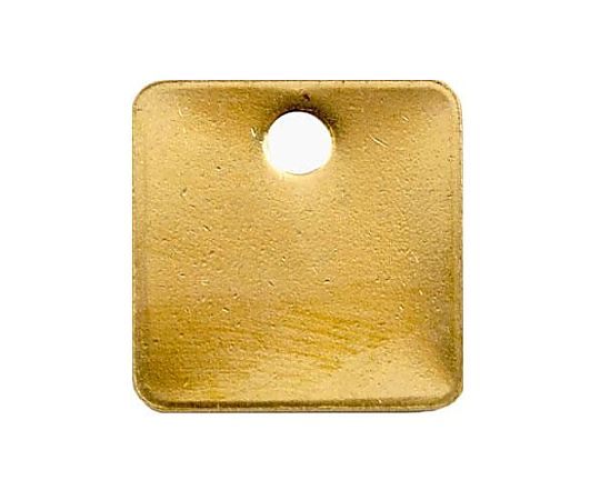 エスコ 38x38mm タグブランク(真鍮 角/10枚) EA591HC-13 1PACK(ご注文単位1PACK)【直送品】