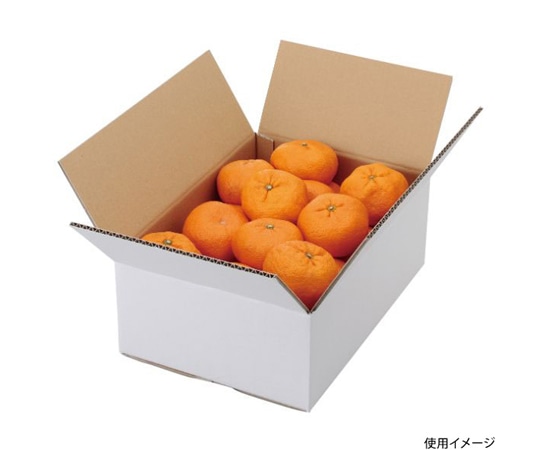 ヤマニパッケージ 青果用贈答箱 A式みかん 白無地 5kg 60枚 L-2232 1ケース(ご注文単位1ケース)【直送品】