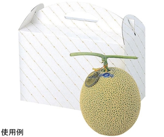 ヤマニパッケージ 青果用贈答箱 金線メロン2個入 100枚 L-255 1ケース(ご注文単位1ケース)【直送品】