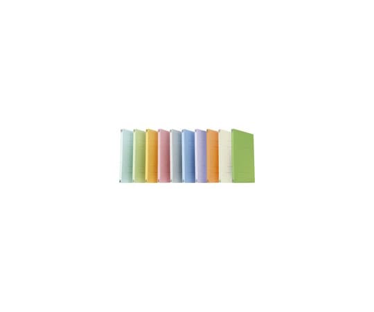 プラス フラットファイル A4S アイボリー 10冊 No.021N 1パック(ご注文単位1パック)【直送品】