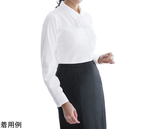 カーシーカシマ ENJOY シャツブラウス AIR CON PIQUE 5号 EWB434 1枚（ご注文単位1枚）【直送品】