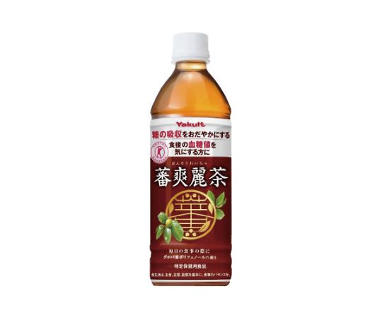 蕃爽麗茶 500mL 24本 114222 1ケース※軽(ご注文単位1ケース)【直送品】
