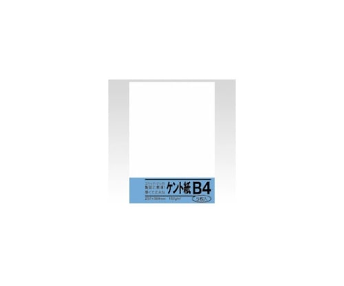 菅公工業 ケント紙 ベ052 1パック(ご注文単位1パック)【直送品】