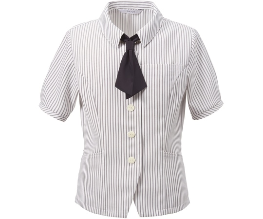 カーシーカシマ ENJOY オーバーブラウス SARA CLEAR BLOUSE ホワイト 19号 ESA836 1枚（ご注文単位1枚）【直送品】