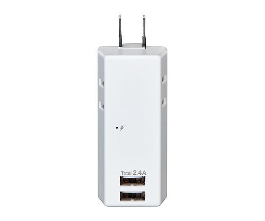 ELPA 耐雷USBタップ2個口2ポート2.4A UA-222SB 1個(ご注文単位1個)【直送品】