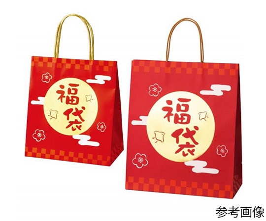ストア・エキスプレス 手提げ福袋 福王 22×12×25cm 10枚 28-151-2-1 1セット(ご注文単位1セット)【直送品】