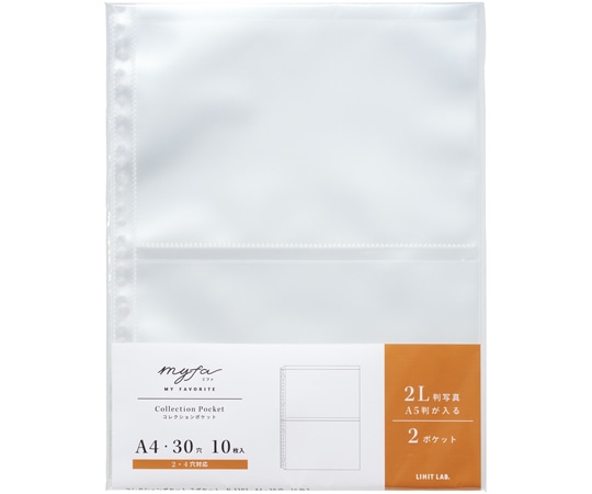 LIHITLAB myfa コレクションポケット 2ポケット 10枚入 N3302 1組(ご注文単位1組)【直送品】