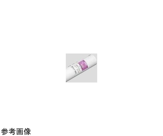 桜井 再生紙 FL-R 420×200M 3インチ 2本 FLR313 1箱(ご注文単位1箱)【直送品】