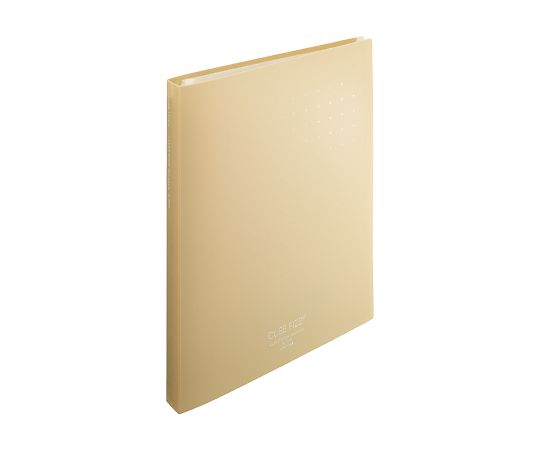LIHITLAB CUBE FIZZクリヤーブック(ポケット交換タイプ) ポケット30枚 ベージュ N7016-16 1冊(ご注文単位1冊)【直送品】