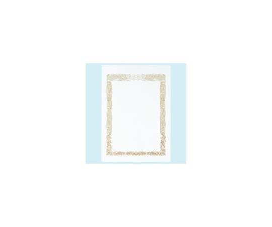オキナ OA金箔賞状 A4 横書 5枚 SGA4Y 1パック(ご注文単位1パック)【直送品】