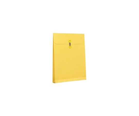 高春堂 カーデックス マチ紐付 角0 50枚 133 1箱(ご注文単位1箱)【直送品】