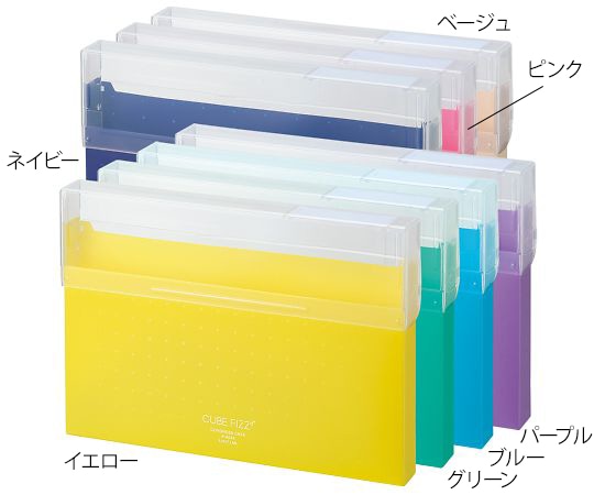 LIHITLAB CUBE FIZZ コングレスケース グリーン A6024-7 1冊(ご注文単位1冊)【直送品】