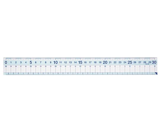 レイメイ藤井 先生おすすめ直定規 30cm APJ257 1本(ご注文単位1本)【直送品】