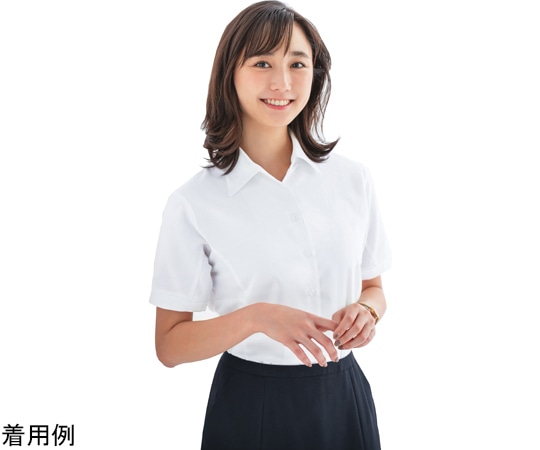 カーシーカシマ ENJOY シャツブラウス Softkarseystretch ホワイト 19号 ESB405 1枚(ご注文単位1枚)【直送品】