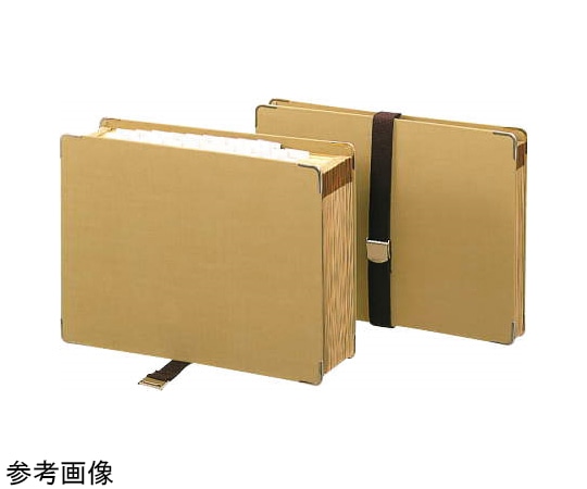ライオン事務器 ドキュメントファイル DC-231 A4 1冊(ご注文単位1冊)【直送品】