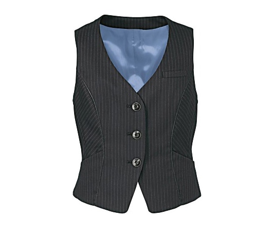 カーシーカシマ ENJOY ベスト 美スラッとSuits TREVIRA STRIPE 17号 EAV475 1枚(ご注文単位1枚)【直送品】