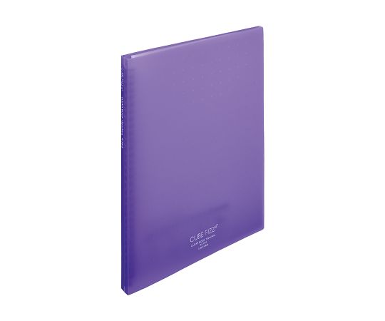 LIHITLAB CUBE FIZZクリヤーブック(ポケット交換タイプ) ポケット15枚 パープル N7015-10 1冊(ご注文単位1冊)【直送品】