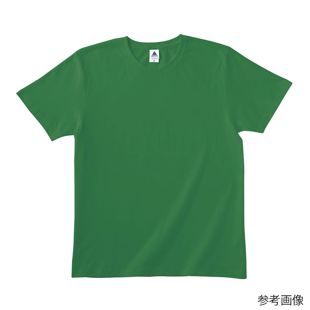 フェリック ベーシックスタイルTシャツ ケリーグリーン L TRS700-L 1枚（ご注文単位1枚）【直送品】
