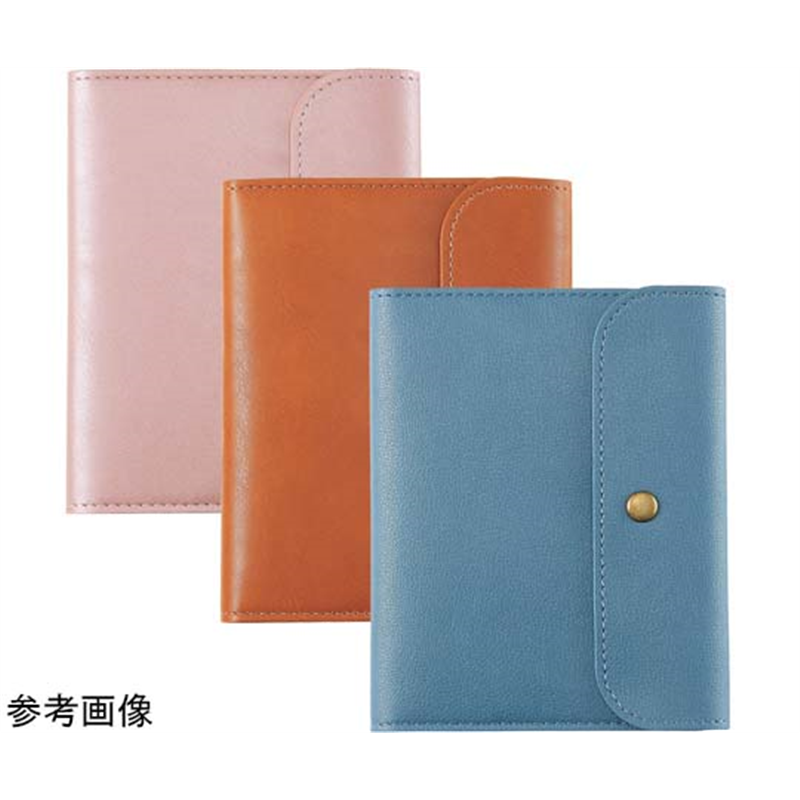 LIHITLAB ホスピタルポーチ(L) ブルー A7206-8 1個(ご注文単位1個)【直送品】
