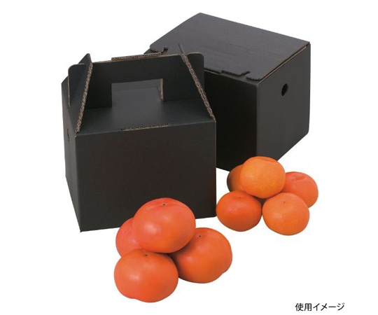 ヤマニパッケージ 青果用贈答箱 美果2kg 100枚 L-2061 1ケース(ご注文単位1ケース)【直送品】