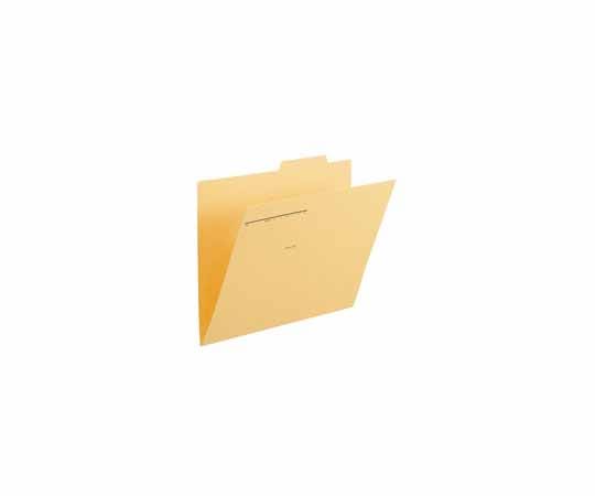 プラス 個別フォルダー B4E イエロー 10枚 FL-068IFYL(10) 1パック(ご注文単位1パック)【直送品】