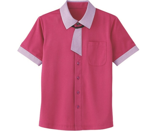 カーシーカシマ HEARTGREEN シャツブラウス KNITTI SHIRT NECKTIE バラ園 4L HM2629 1枚（ご注文単位1枚）【直送品】