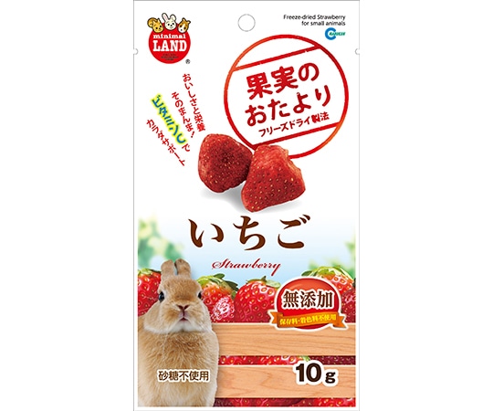 フジコン 果実のおたより いちご 10g ML-84 1個(ご注文単位1個)【直送品】