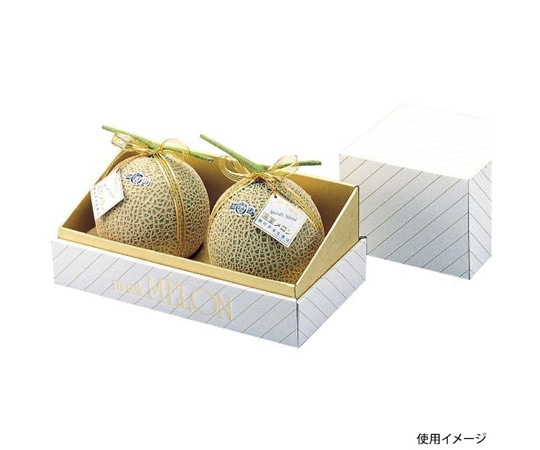 ヤマニパッケージ 青果用贈答箱 金台紙メロン2個入 30枚 L-74 1ケース(ご注文単位1ケース)【直送品】